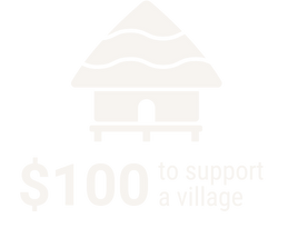 $100 to Support a Village
