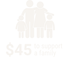 $45 to Support a Family